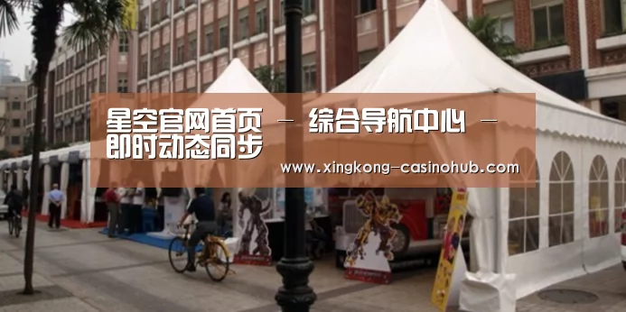 案例标题九