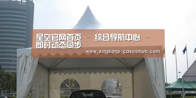 案例标题八