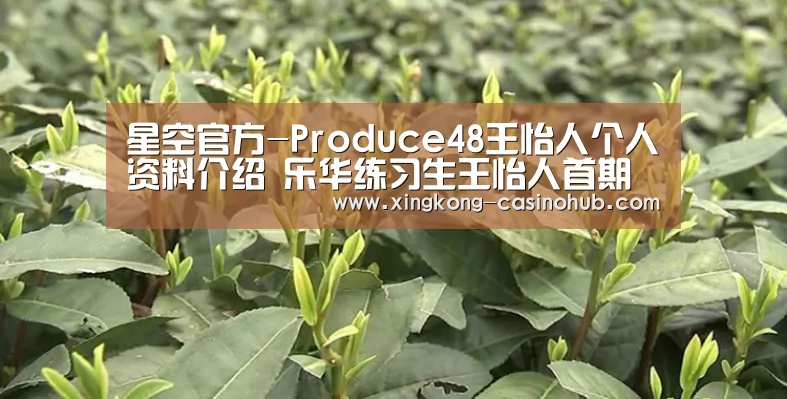 星空官方-Produce48王怡人个人资料介绍 乐华练习生王怡人首期排名(图3) 星空品牌